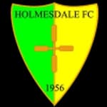 Holmesdale logo