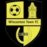 Wincanton Town logo
