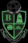 Birtley Town logo