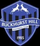 Buckhurst Hill logo
