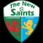 The New Saints logo