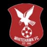 Whitehawk