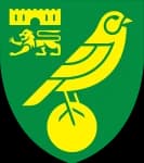 Norwich logo