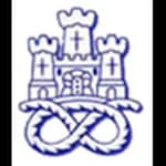 Newcastle Town logo