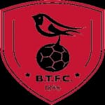 Bracknell Town logo