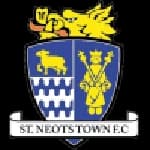 St Neots Town logo