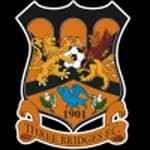 Three Bridges logo