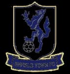 Enfield Town logo
