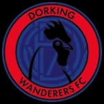 Dorking Wanderers logo