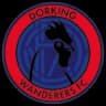 Dorking Wanderers