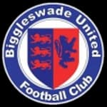 Biggleswade United logo