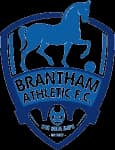 Brantham Athletic logo