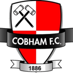 Cobham logo