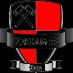 Cobham logo