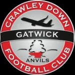 Crawley Down Gatwick logo
