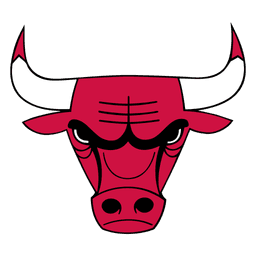 Chicago Bulls